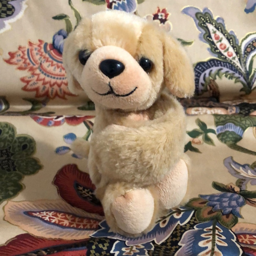 🛍️5/$20🛍️EUC Snap attach Puppy from Wild Republic